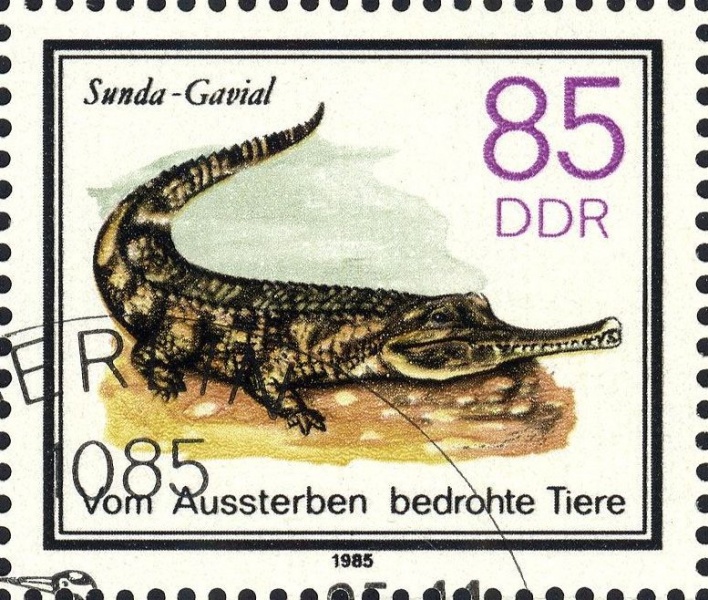 Datei:Ddr2956.1.big.jpg