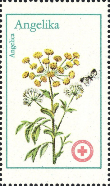 Datei:Ddr drksms0006.2.big.jpg