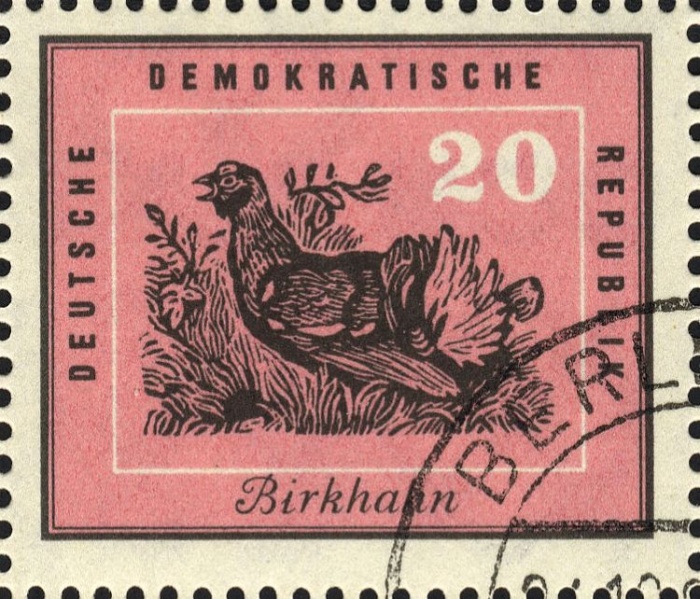 Datei:Ddr0701.1.big.jpg