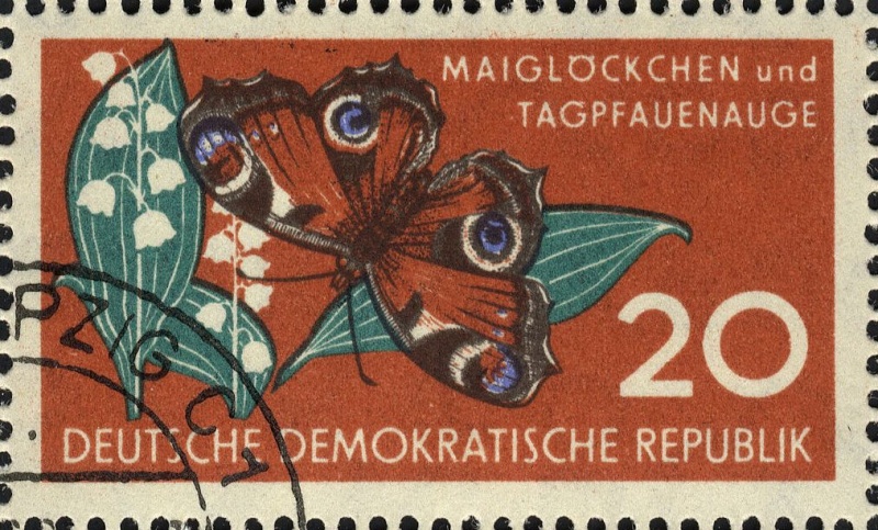 Datei:Ddr0690.3.big.jpg