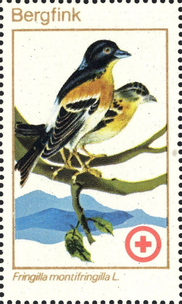 Datei:Ddr drksms0009.1.big.jpg