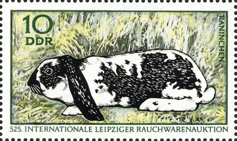 Datei:Ddr1541.2.big.jpg
