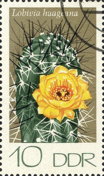 Datei:Ddr1923.1.big.jpg
