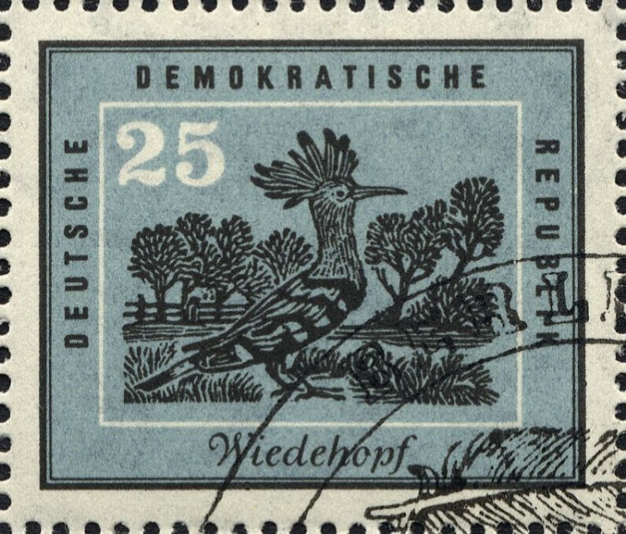 Datei:Ddr0702.7.big.jpg
