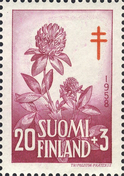 Datei:Fin0494.1.big.jpg