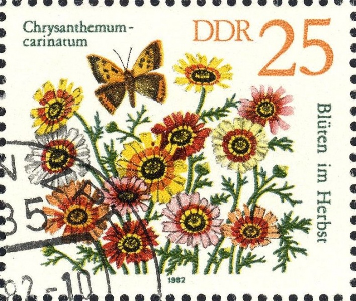 Datei:Ddr2741.1.big.jpg