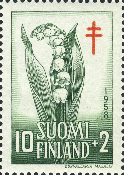 Datei:Fin0493.1.big.jpg