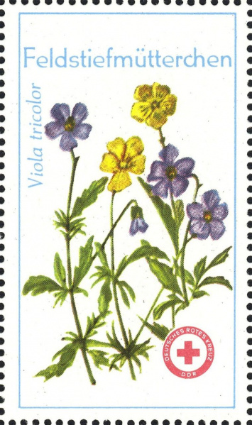 Datei:Ddr drksms0007.1.f4.big.jpg