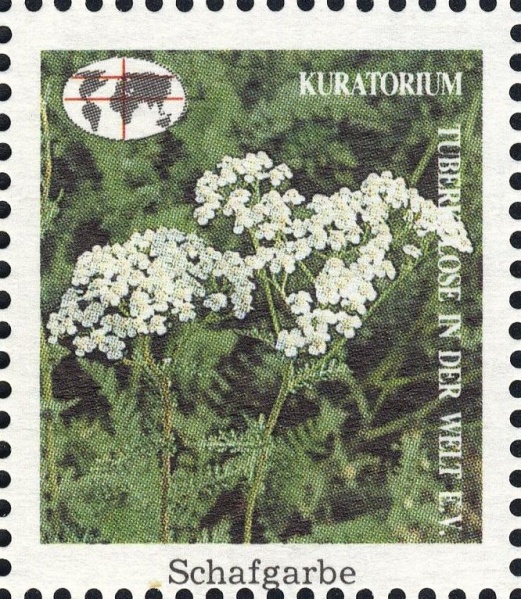 Datei:Vgn bnd wsm1991.1.0244.big.jpg