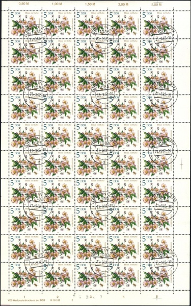 Datei:Ddr2737.3.small bg1.jpg