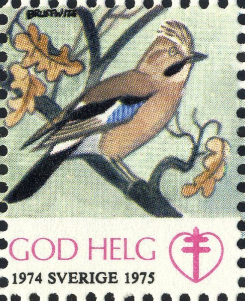 Datei:Vgn svg wsm1974.3.big.jpg