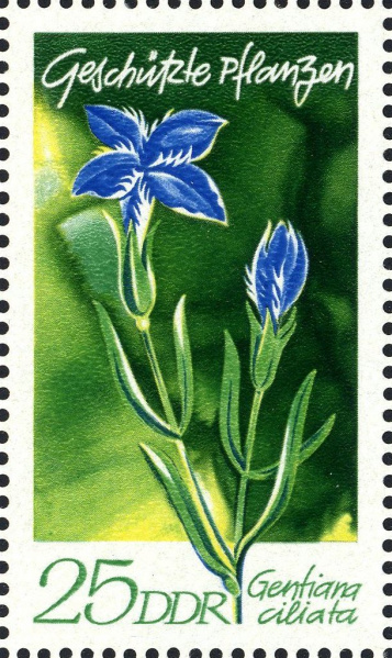 Datei:Ddr1565.1.big.jpg