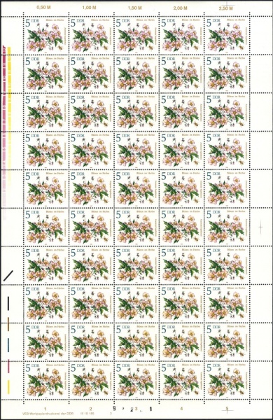 Datei:Ddr2737.1.small bg1.jpg