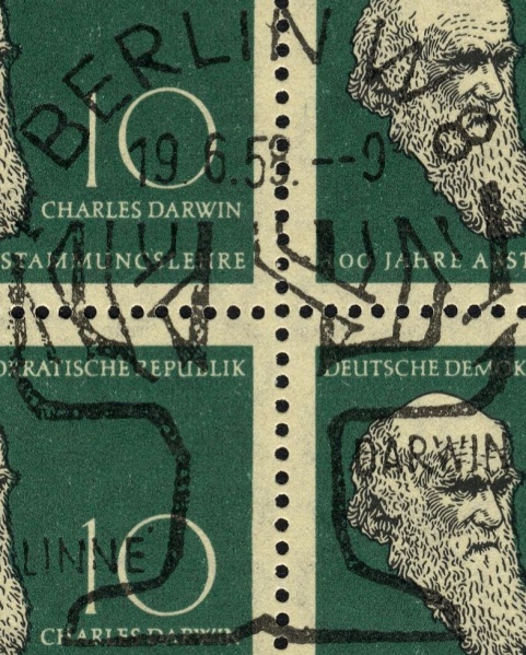 Datei:Ddr0631.1.big st.jpg