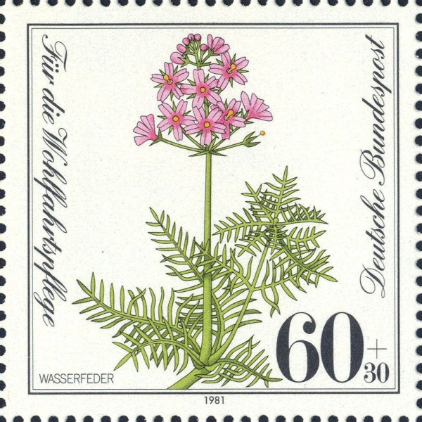 Datei:Bnd1110.2.big.jpg
