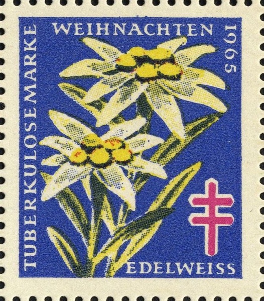 Datei:Vgn bnd wsm1965.1.0049.big.jpg