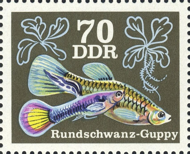 Datei:Ddr2181.2.big.jpg