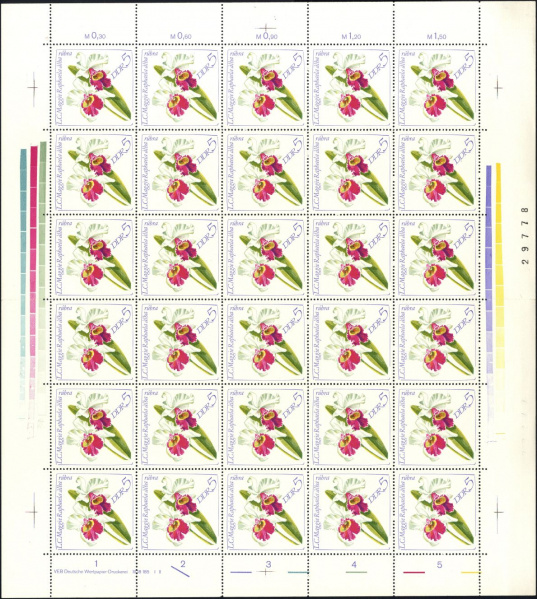 Datei:Ddr1420.2.small bg1.jpg
