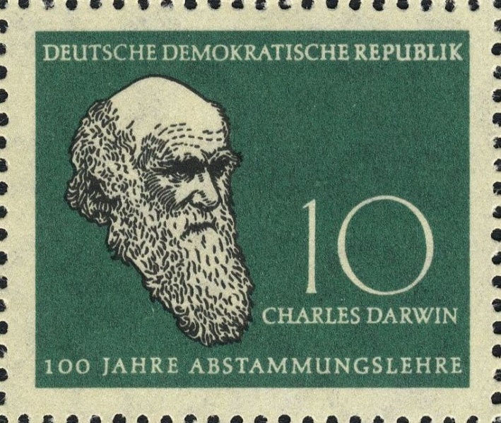 Datei:Ddr0631.2.big.jpg