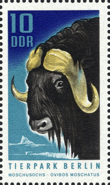 Datei:Ddr1617.1.big.jpg