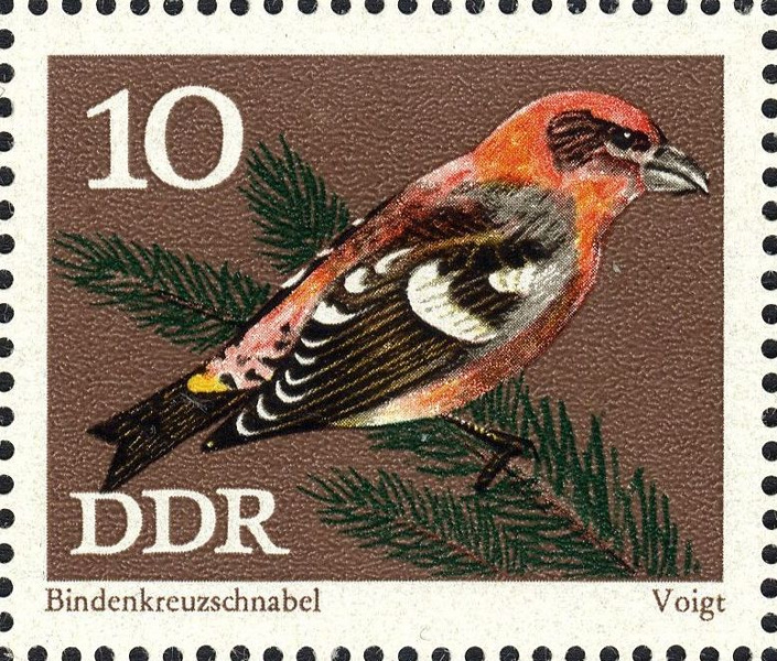 Datei:Ddr1835.1.big.jpg