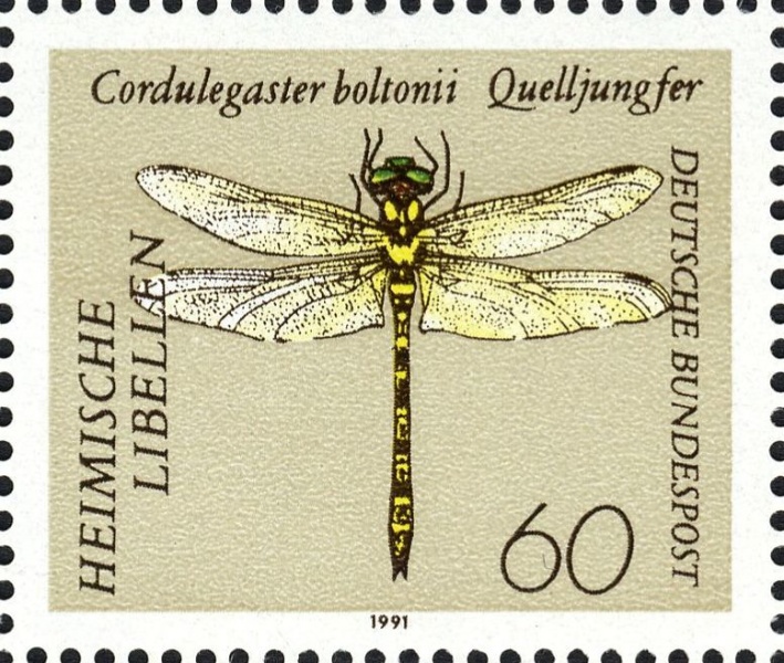 Datei:Bnd1546.1.1548.big.jpg