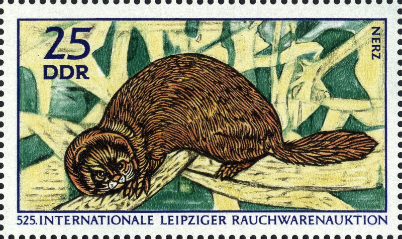 Datei:Ddr1543.1.big.jpg