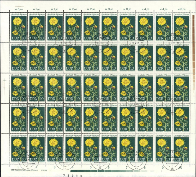 Datei:Ddr1457.2.small bg1.jpg