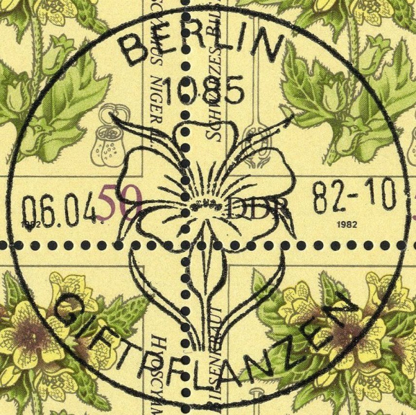 Datei:Ddr2696.1.big st.jpg