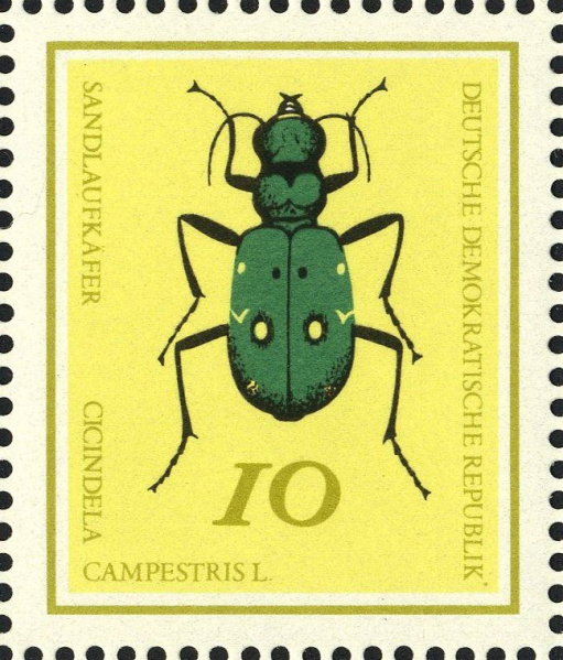 Datei:Ddr1411.1.big.jpg