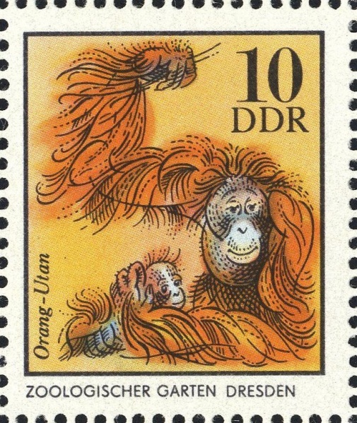 Datei:Ddr2031.1.big.jpg