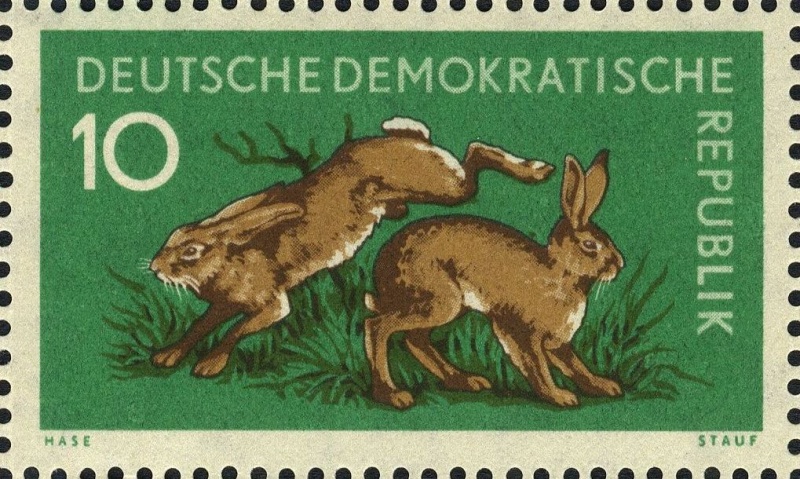 Datei:Ddr0738.8.big.jpg