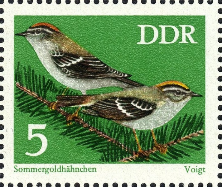 Datei:Ddr1834.1.big.jpg