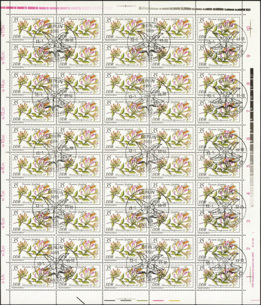 Datei:Ddr2577.2js.small bg1.jpg