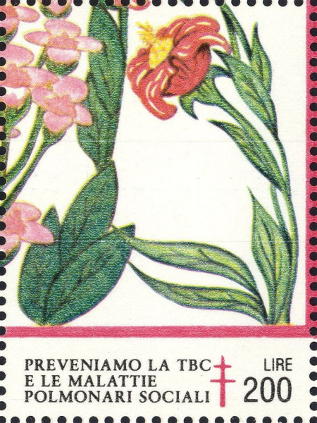Datei:Vgn ita wsm1987.1.f15.big.jpg