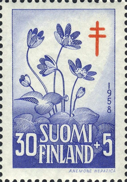 Datei:Fin0495.1.big.jpg