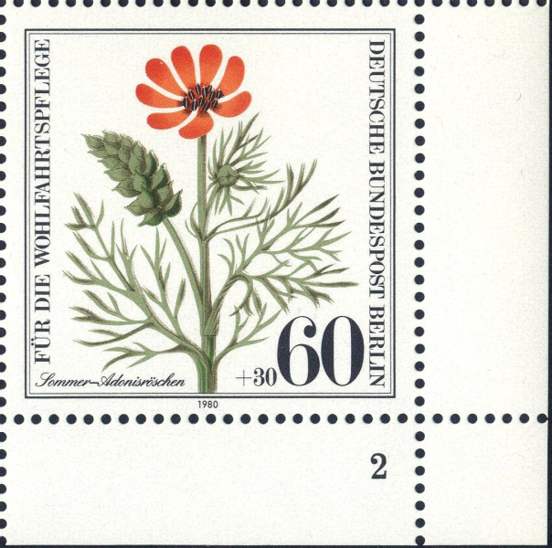 Datei:Bln0631.2.big fn2f25.jpg