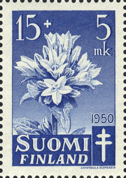 Datei:Fin0387.1.big.jpg