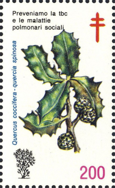 Datei:Vgn ita wsm1989.1.f2.big.jpg