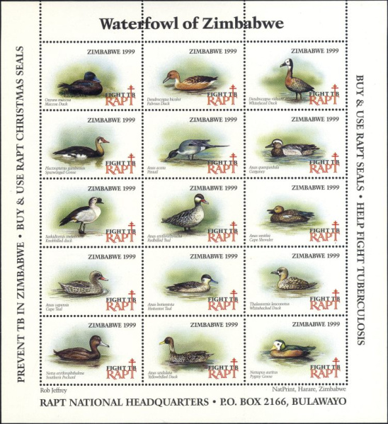 Datei:Vgn rhzw wsm1999.1.small bg1.jpg