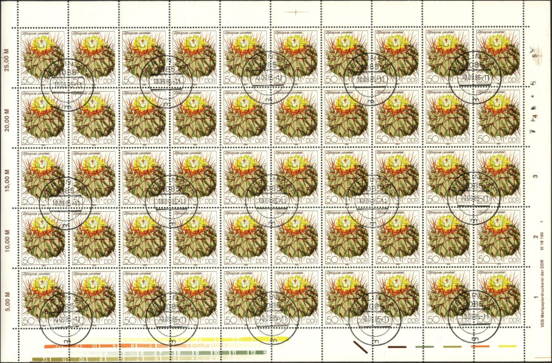Datei:Ddr2807.3js.small bg1.jpg