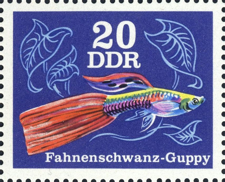 Datei:Ddr2178.2.big.jpg