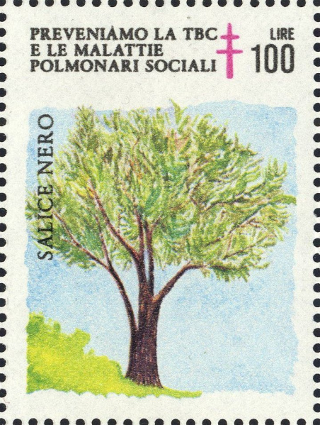 Datei:Vgn ita wsm1983.1.f4.big.jpg