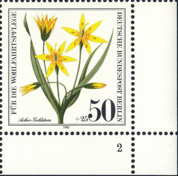 Datei:Bln0630.1.big fn2f25.jpg