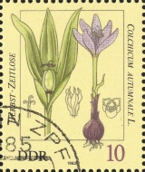 MiNr. 2691