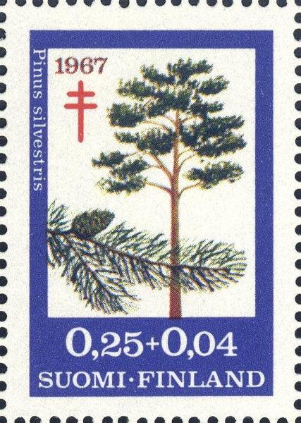Datei:Fin0624.1.big.jpg
