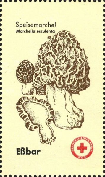 Datei:Ddr drksms0008.1.f6.big.jpg